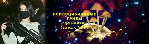 прущий лед Алзамай