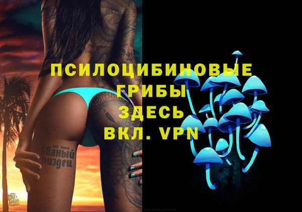 spice Заволжск
