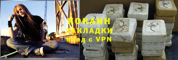 прущий лед Алзамай