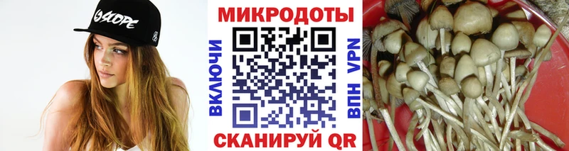 Псилоцибиновые грибы MAGIC MUSHROOMS  Дмитров 