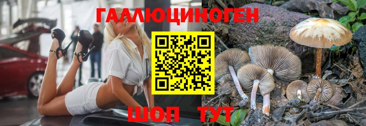 Галлюциногенные грибы ЛСД Дмитров