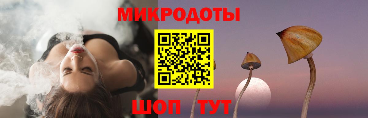 Дмитров  Галлюциногенные грибы MAGIC MUSHROOMS  Вход с VPN 